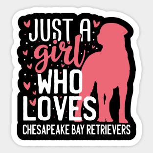 Just a Girl Who Loves Chesapeake Bay Retriever Sticker